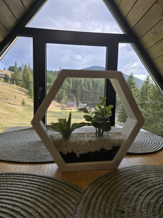 Synevyr House Житло подобово