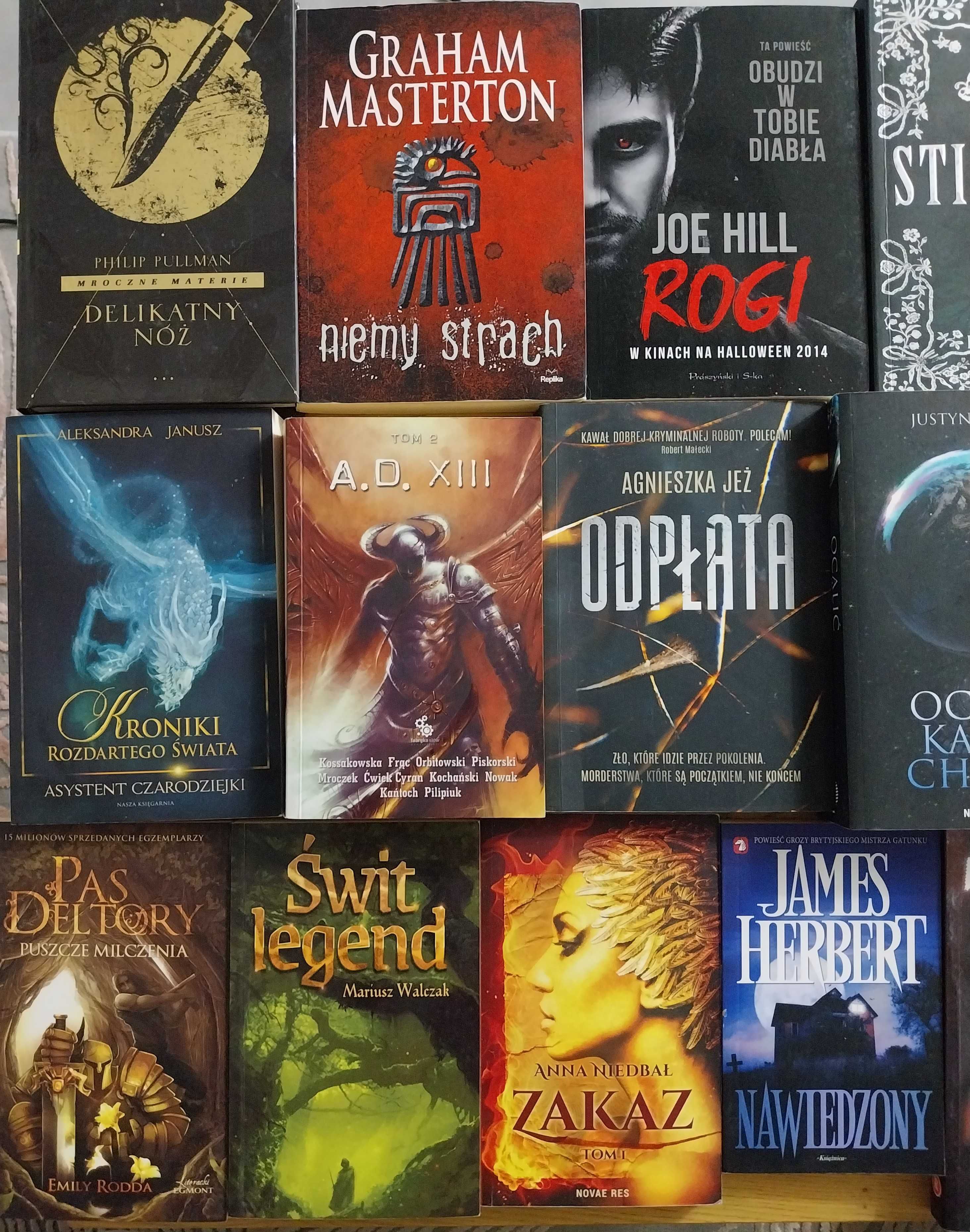 Sprzedam książki Kryminał, thriler, fantasy 21 sztuk!