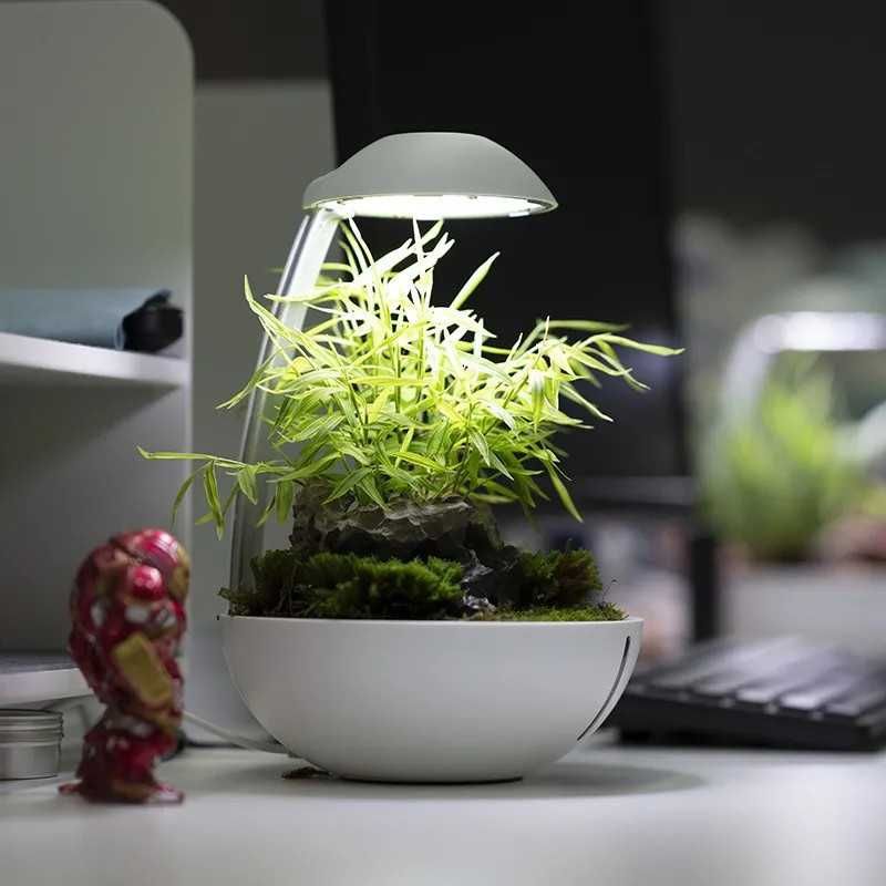 Terrário Moderno com Iluminação LED NOVO