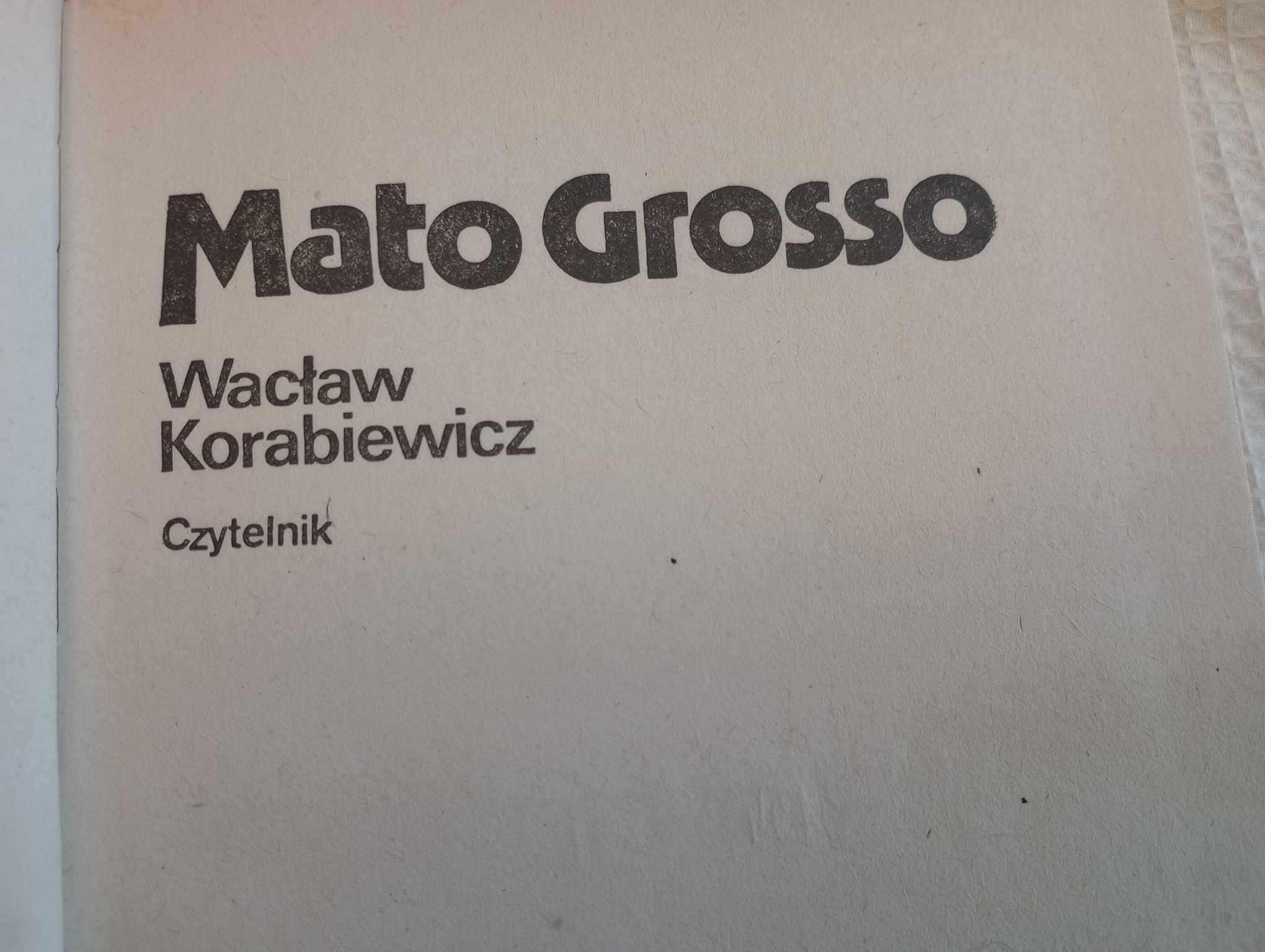 Mato Grosso. Wacław Korabiewicz