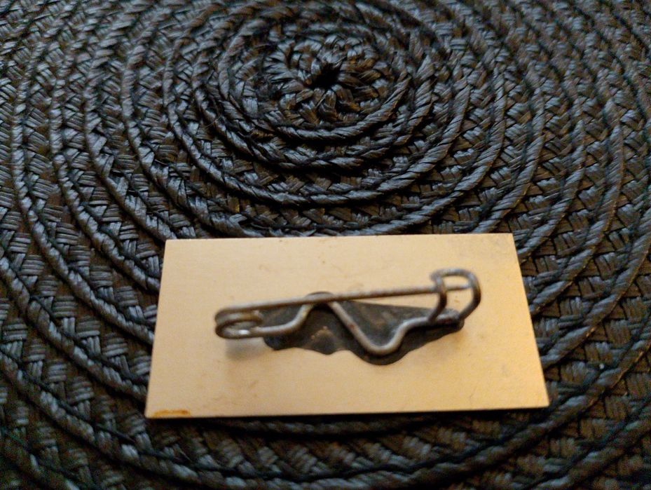 Przypinka, blaszka, z tyłu z przypięciem .