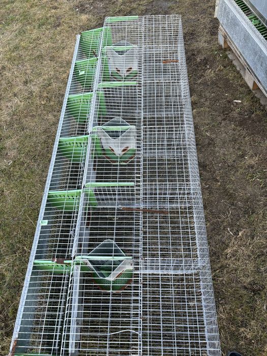 Klatki dla królików