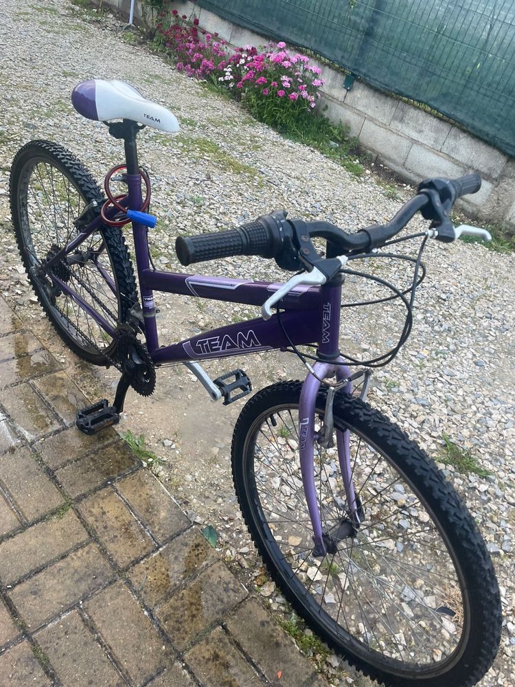 Bicicleta TEAM VENDO