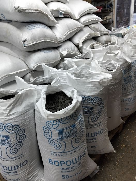 Продам насіння соняшнику