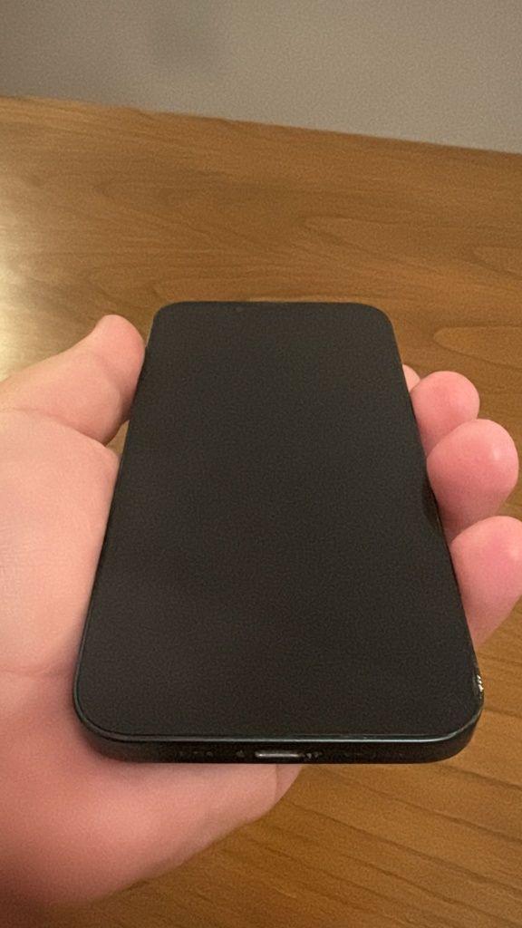 iPhone 13 128Gb - Semi-novo