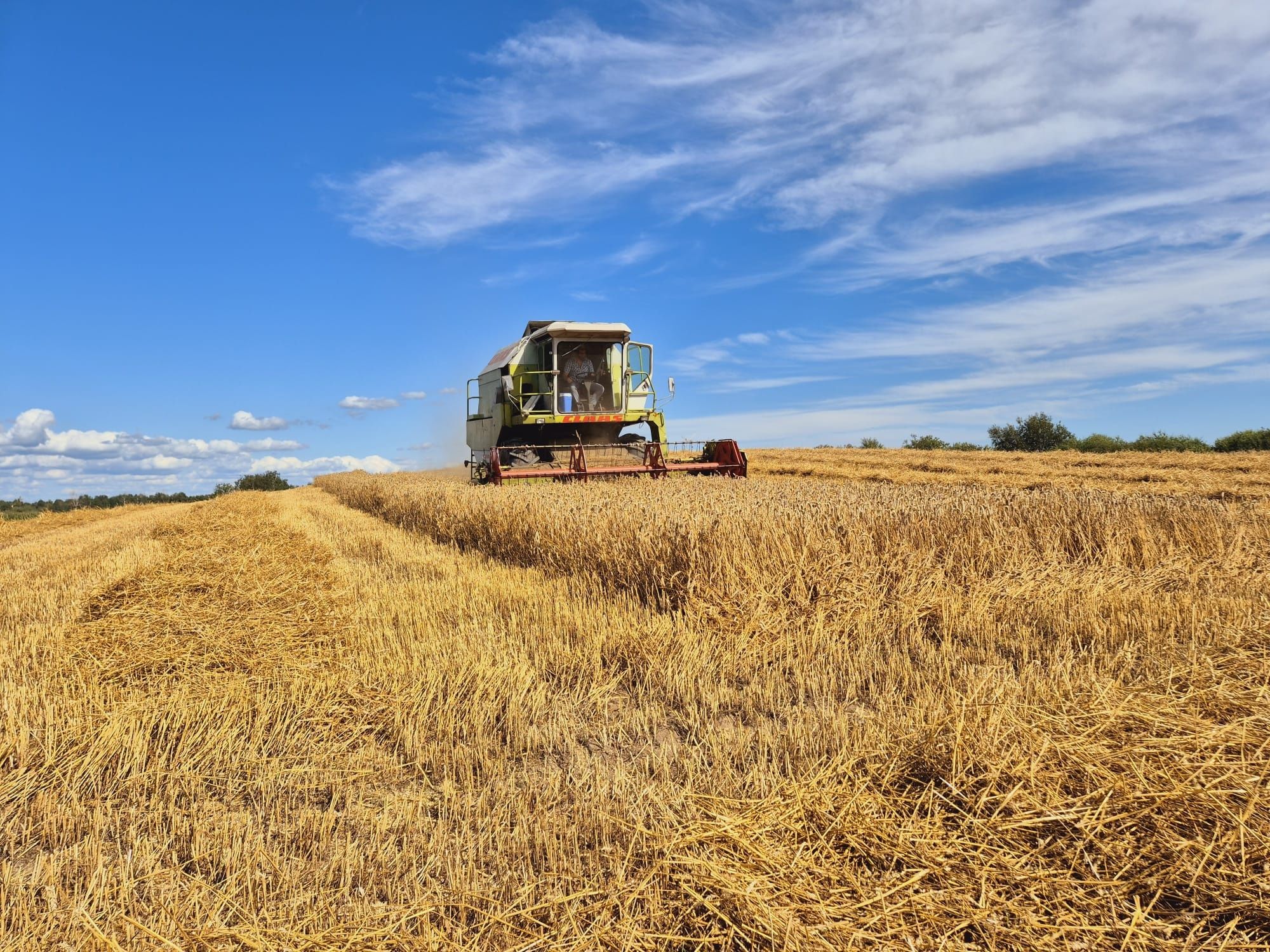 Claas Dominator 96