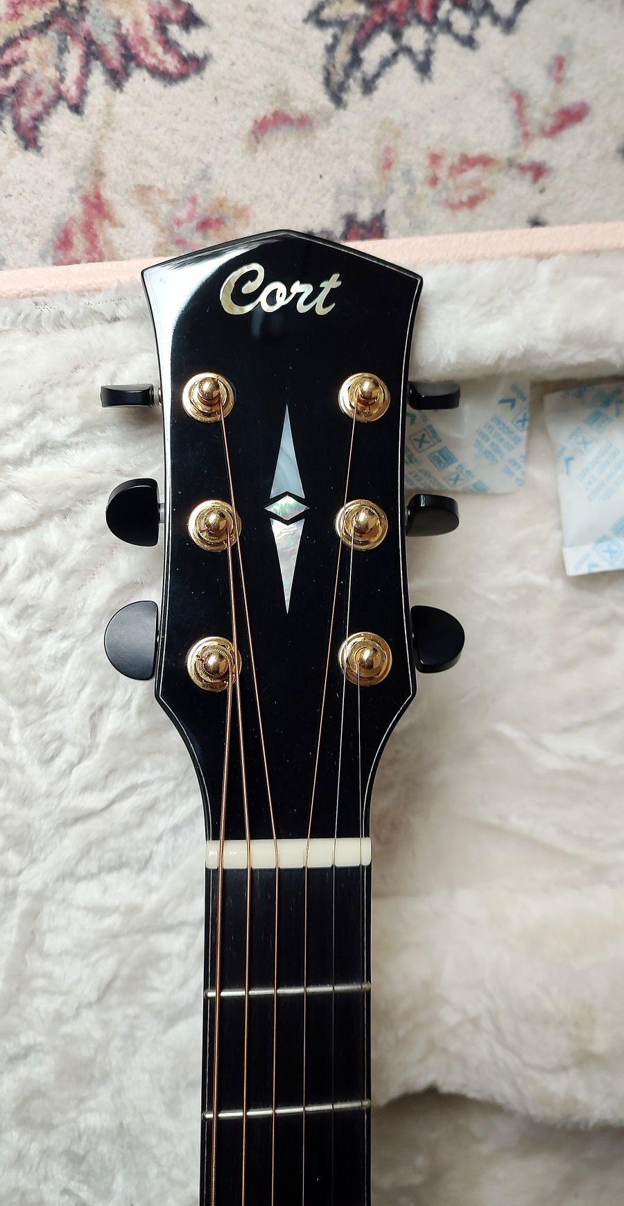 Cort Cut Craft Limited Edition NEW jak Gibson Martin Guild Taylor