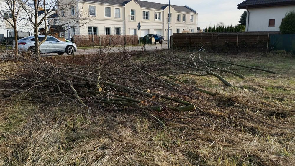 Drewno do oddania (na opal)