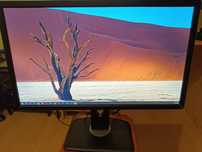 Monitor DELL P2414HB LED 24-CALOWY