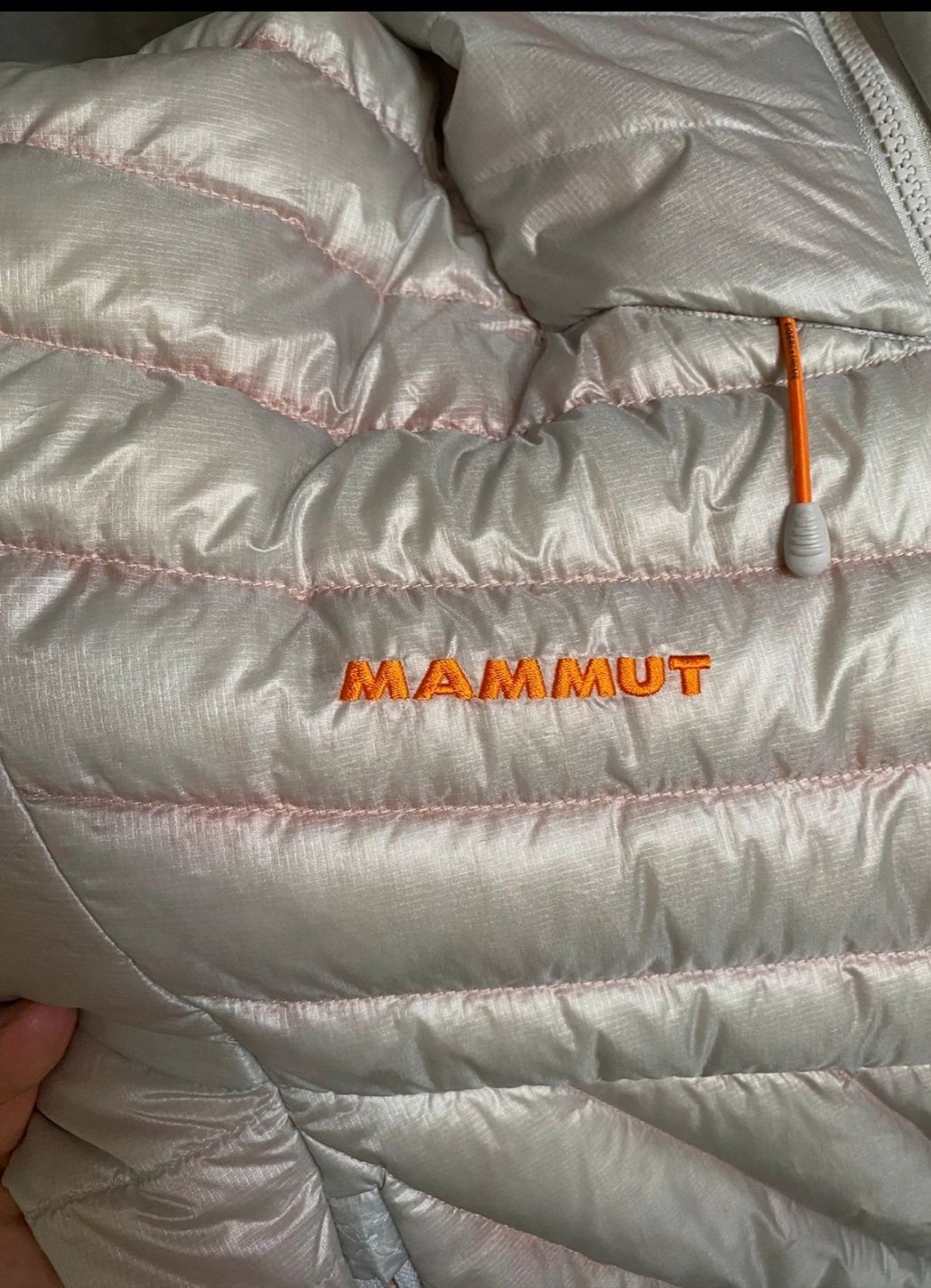 Mammut Eiger Extreme Eigerjoch Advanced Hoody