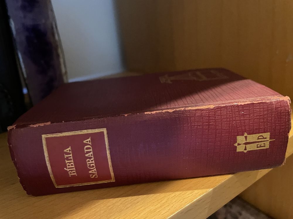 Diversas bíblias muito antigas