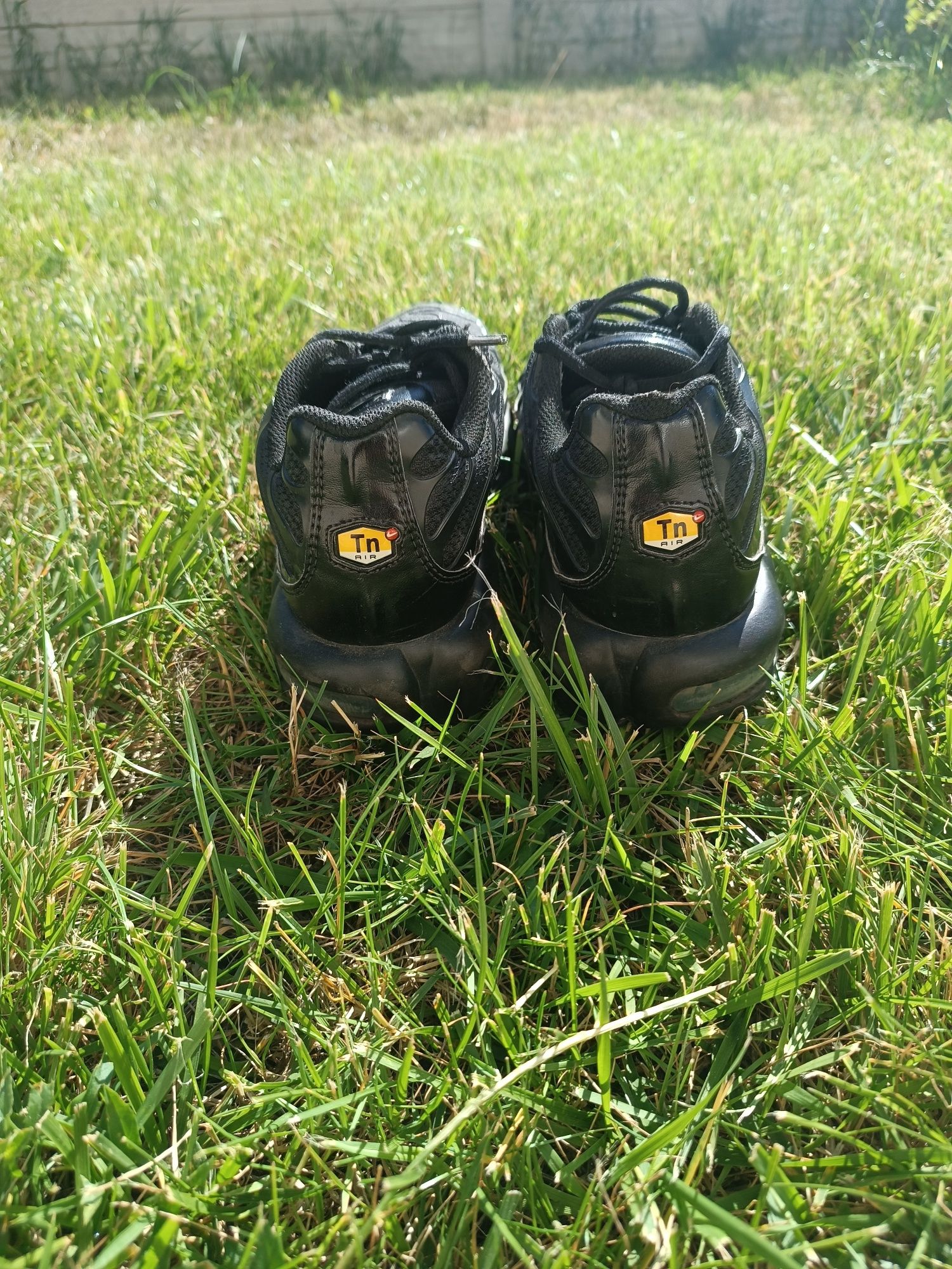 Кросовки Nike Air Max Plus