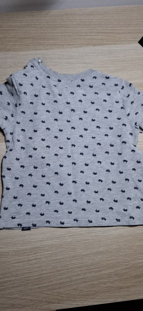 T-shirt r.80 coccodrillo