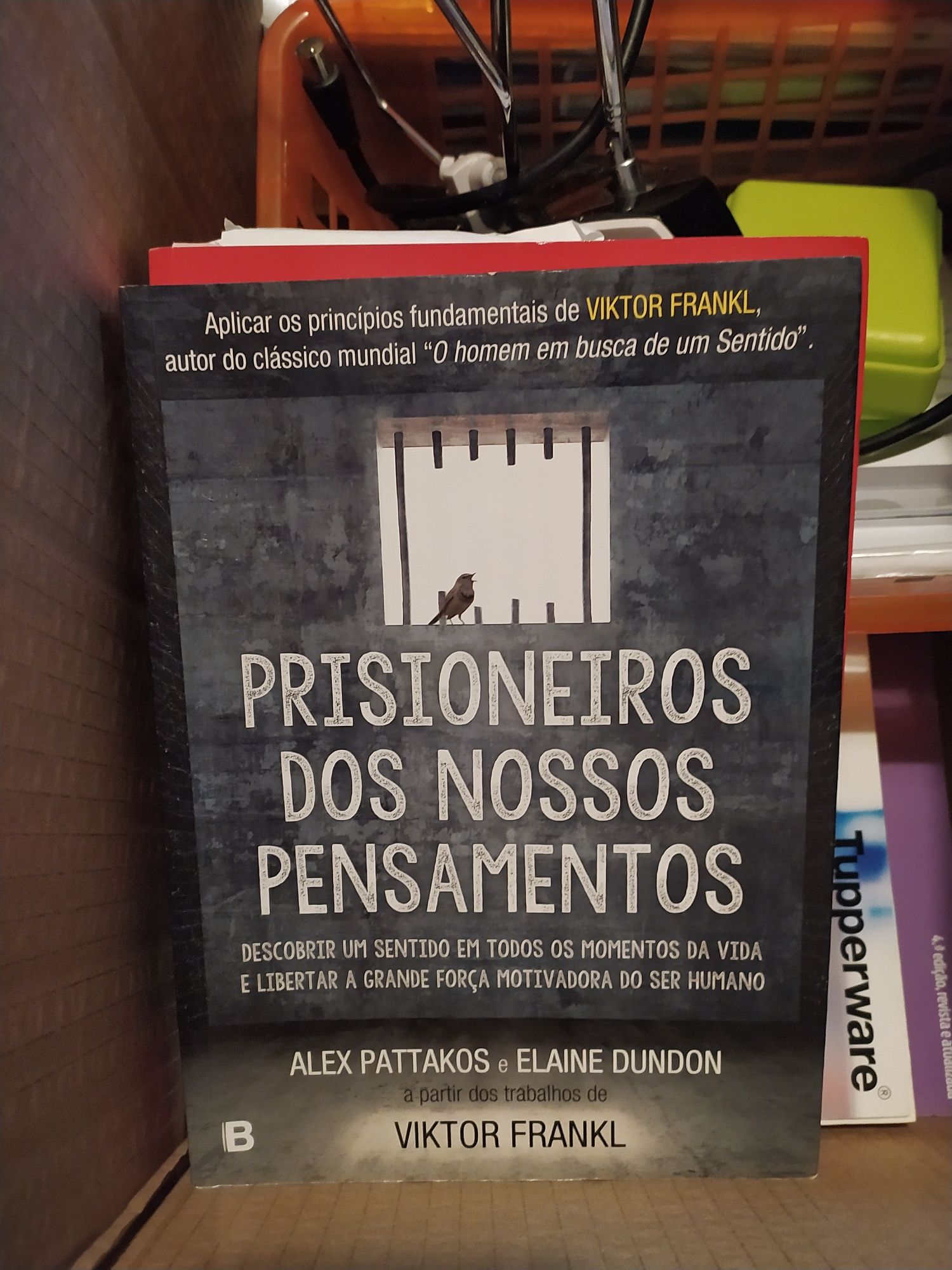 Livro psicologia