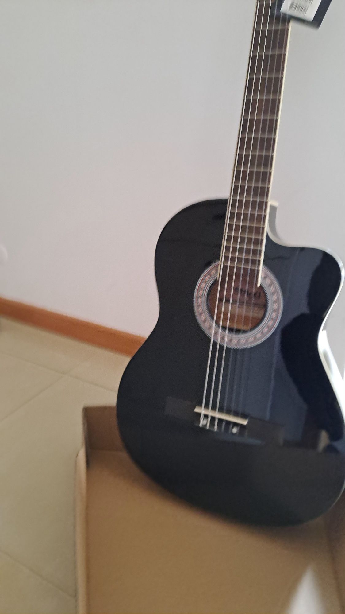 Viola STAGG nova