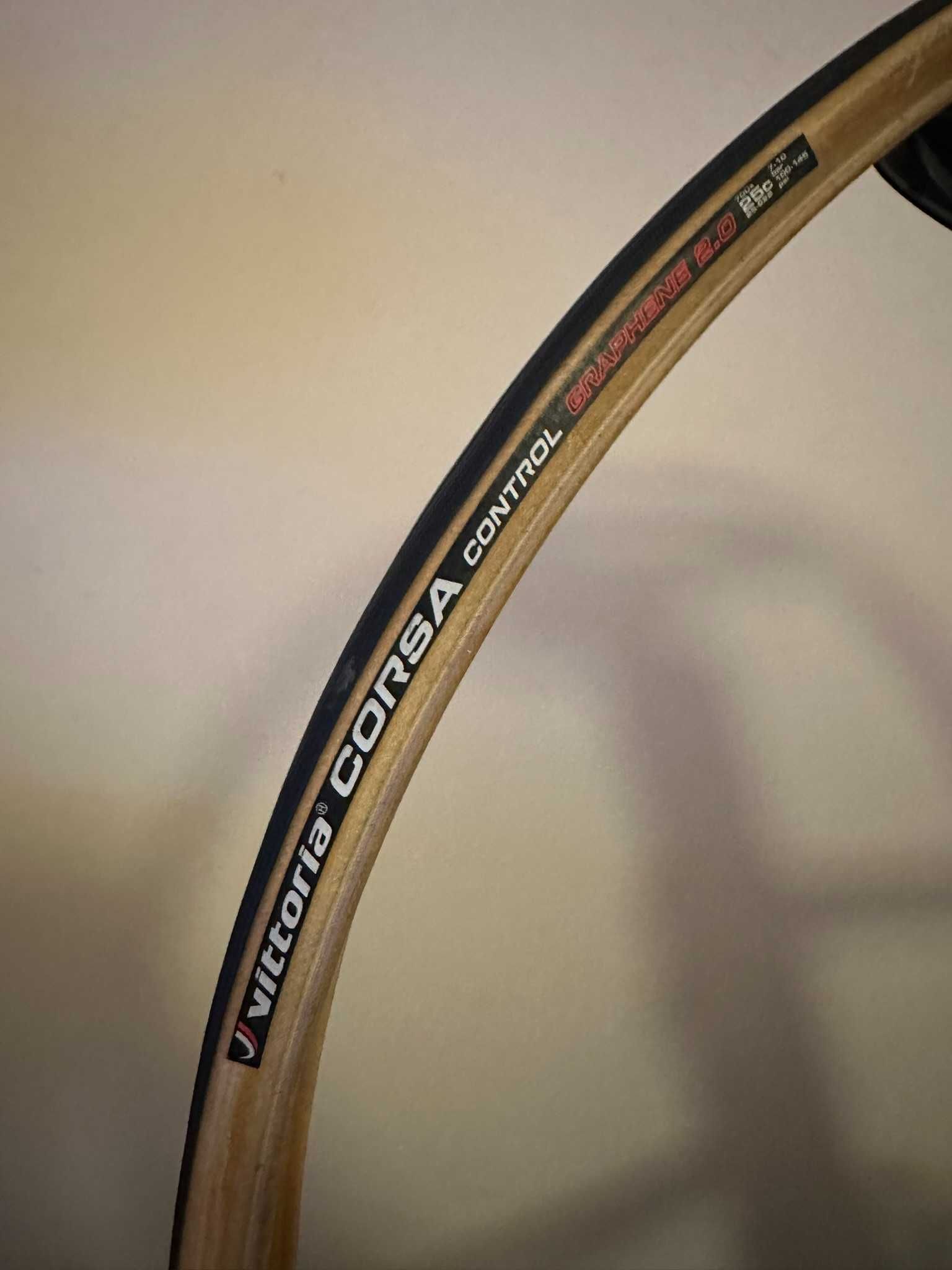 Vittoria Corsa Control Graphene 2.0 Usado