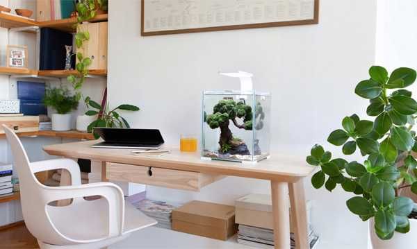 AQUAEL Shrimp SET 20L Akwarium zestaw Kraków Promocja