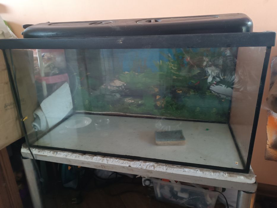 Akwarium 112 l z pokrywą i ala stolikiem