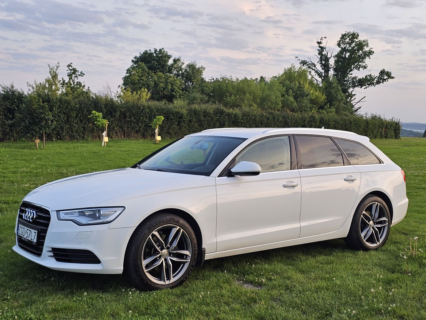 Audi A6 Audi A6 C7 2.0 TDI ULTRA S TRONIC 190 KM