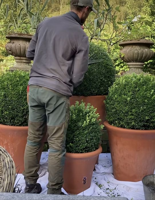 Uslugi ogrodnicze koszenie trawników pielęgnacja ogrodów