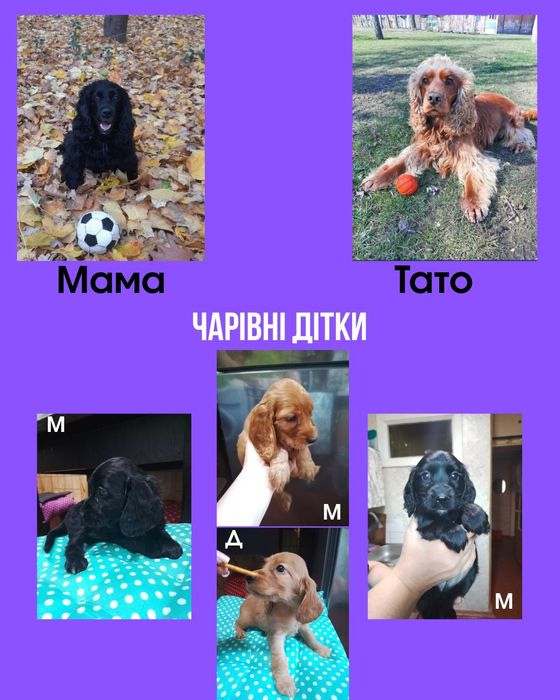 Наши детки ищут любящие семьи.