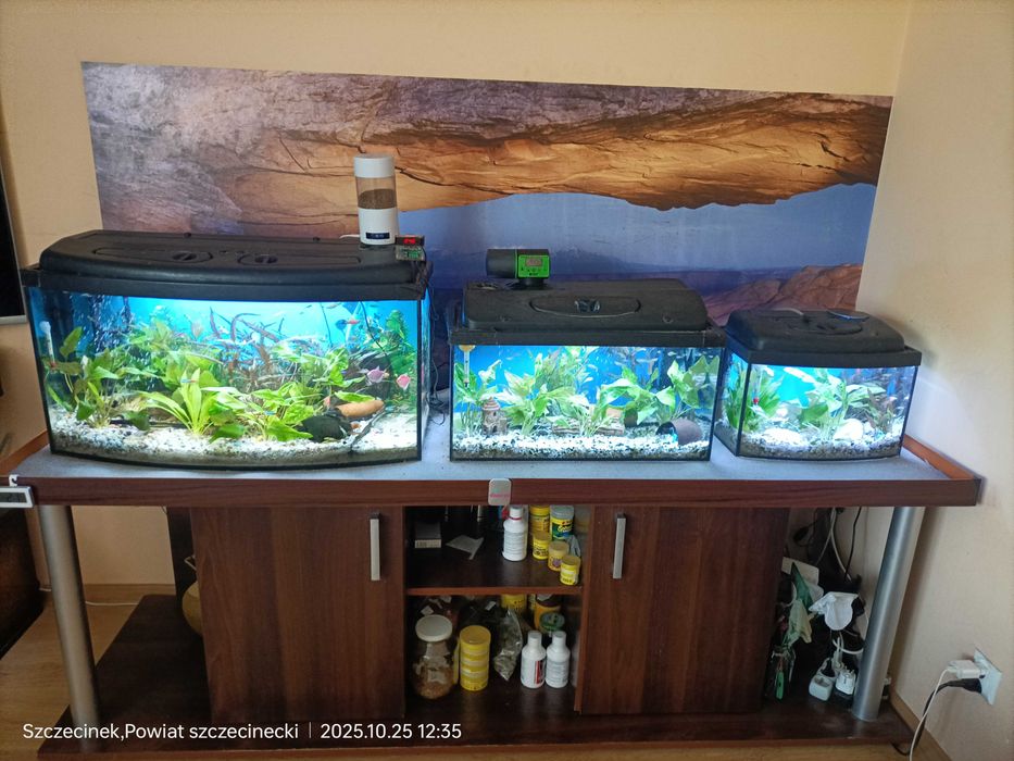 Sprzedam zestaw akwariów na dedykowanej komodzie.