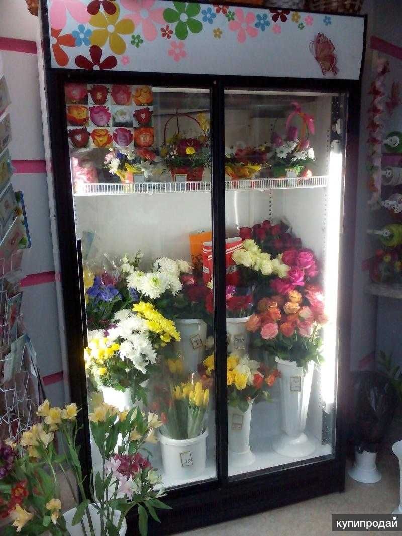 Холодильник витрина шкаф холодильник для цветов холодильная камера