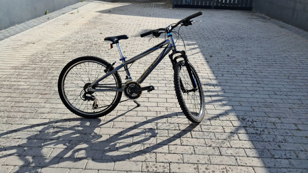 Bicicleta Scrapper roda 24