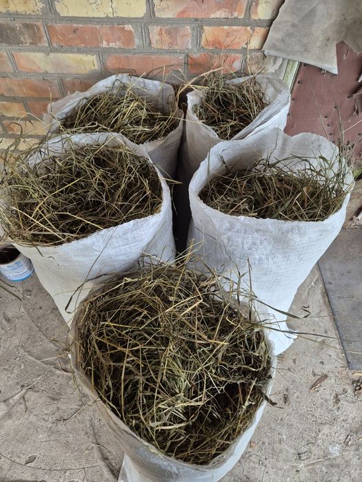 Продам сіно в мішках.