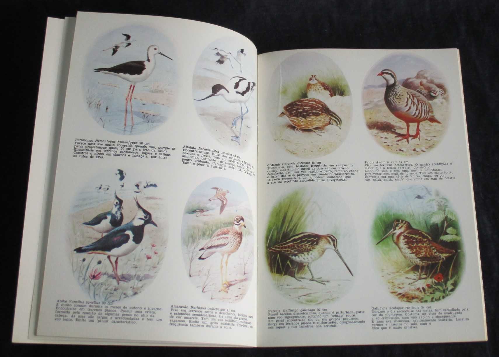 Livro O Meu Primeiro Livro de Aves 1ª edição 1985