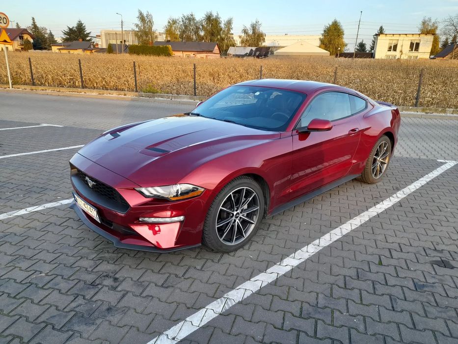 Ford Mustang Piękny mustang na ładnej feldze!