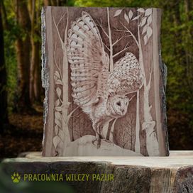Sowa płomykówka, obraz na drewnie, pirografia