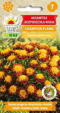 Aksamitka rozpierzchła Champion Flame 0,5g nasiona Toraf