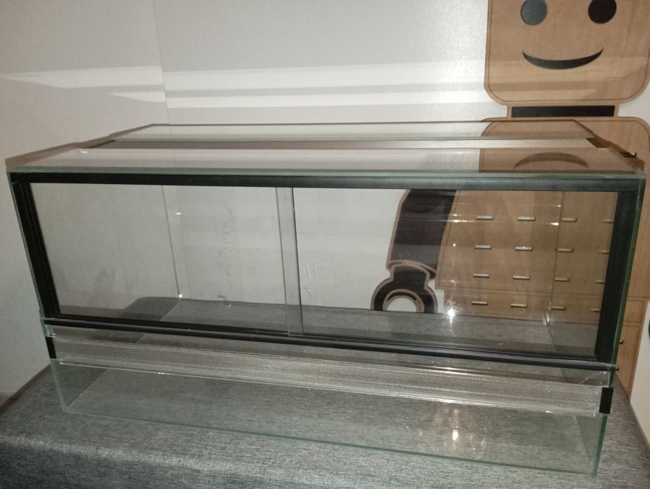 Terarium cały zestaw gekon