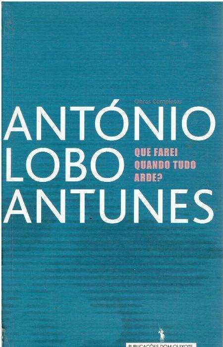 4233 - Obras de António Lobo Antunes I