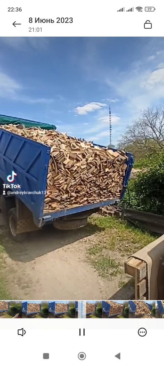 дрова 100 грн куб  с бесплатной  доставкой