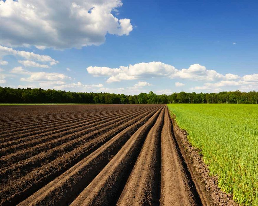 Продам земельний пай 7 Га Вакулівська громада