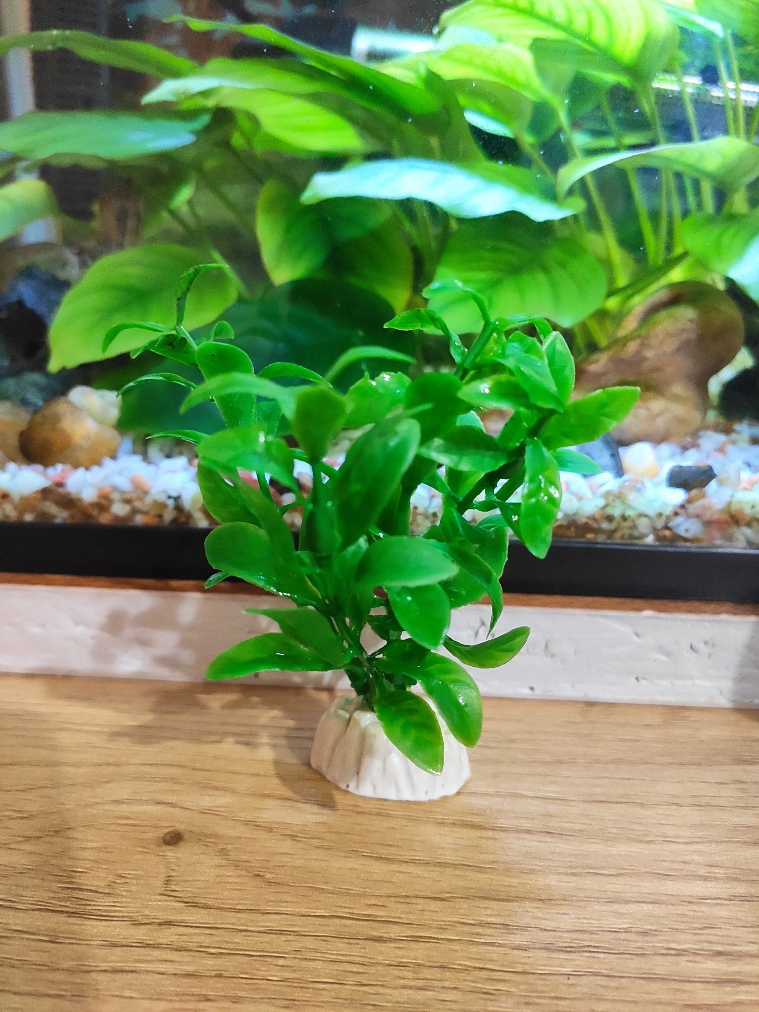 Штучна рослина в акваріум