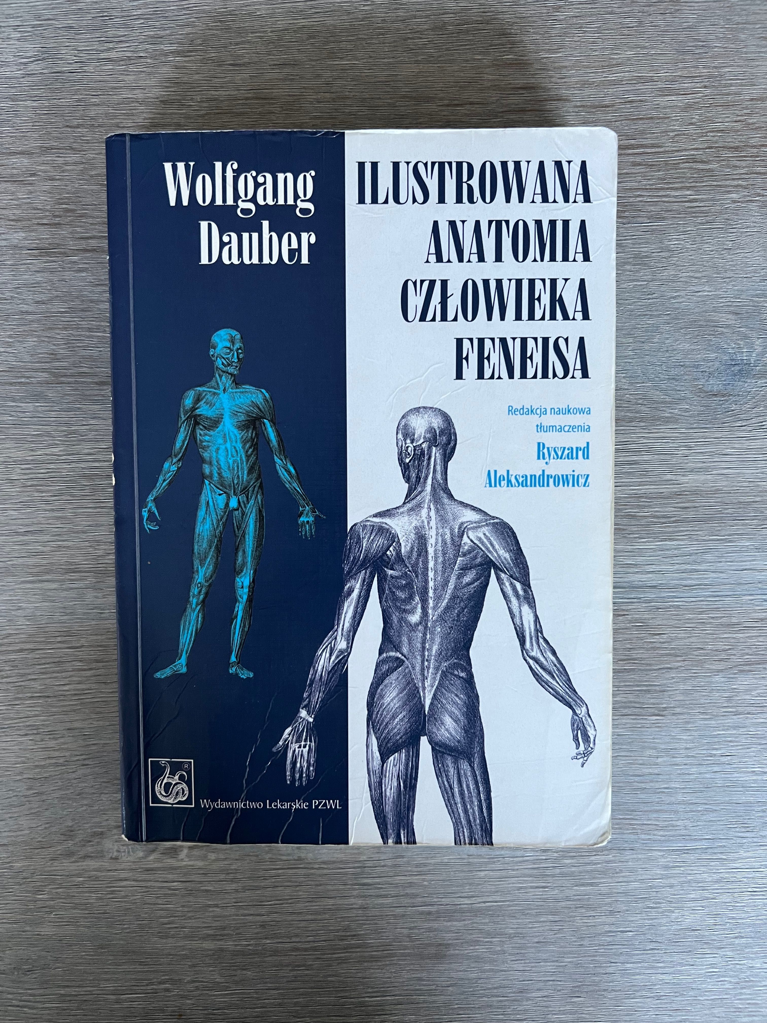 Feneis/ Moore (ang)/ Netter