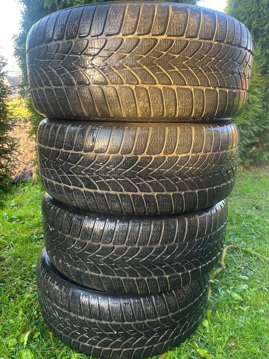 Шини зимова Dunlop