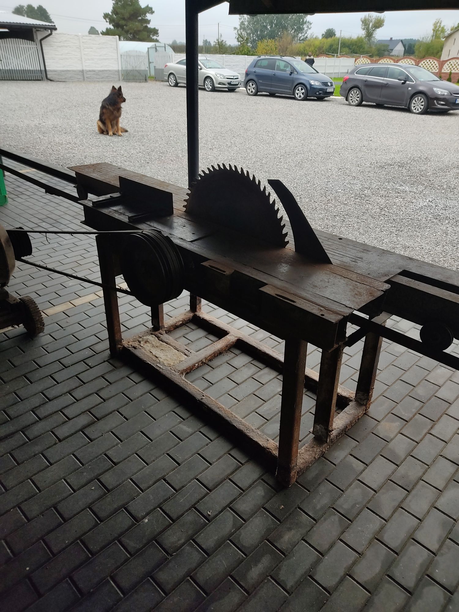 Krajzega  , piła stołowa tartaczna