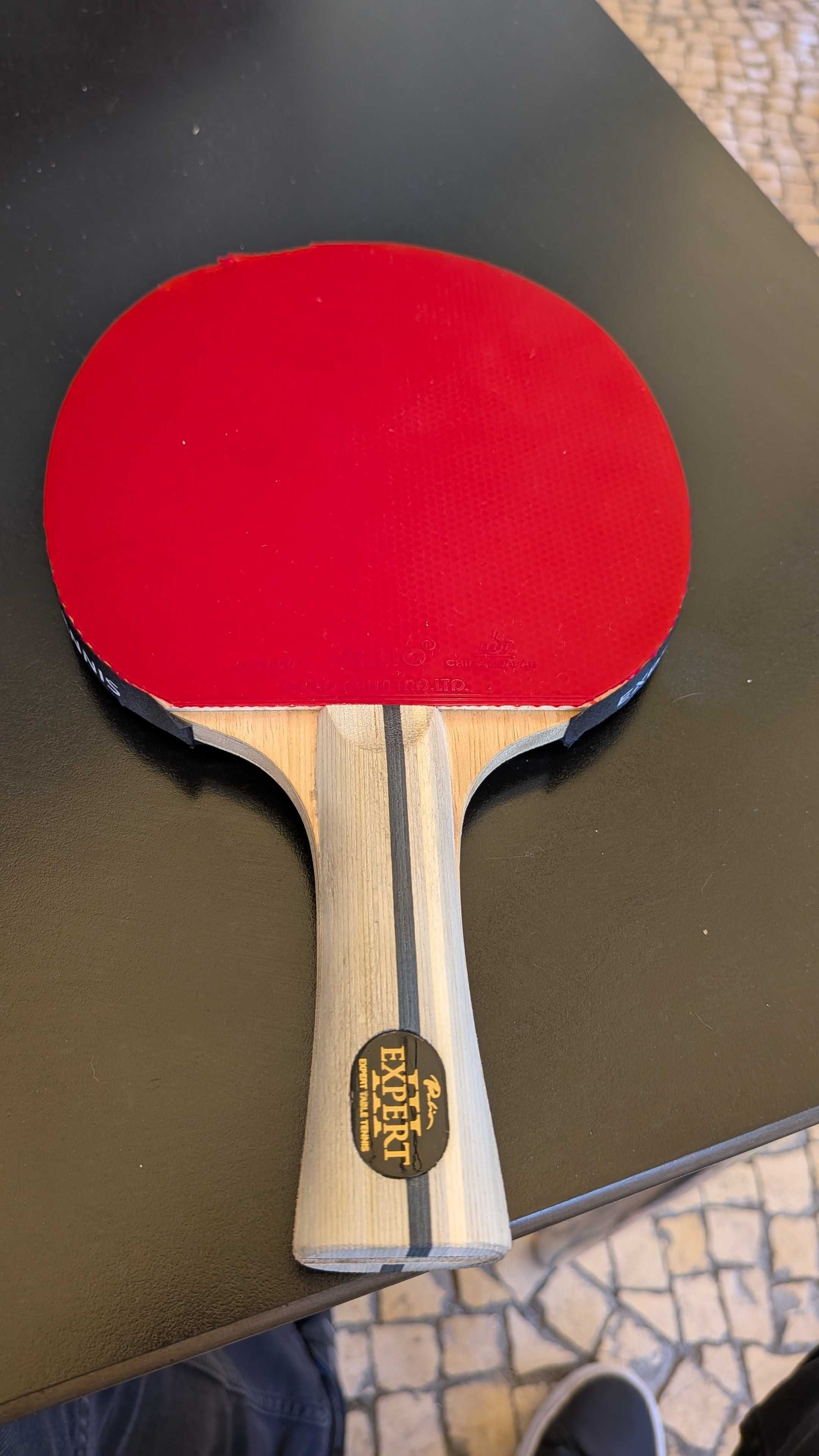 Raquete ténis de mesa palio expert 3.0