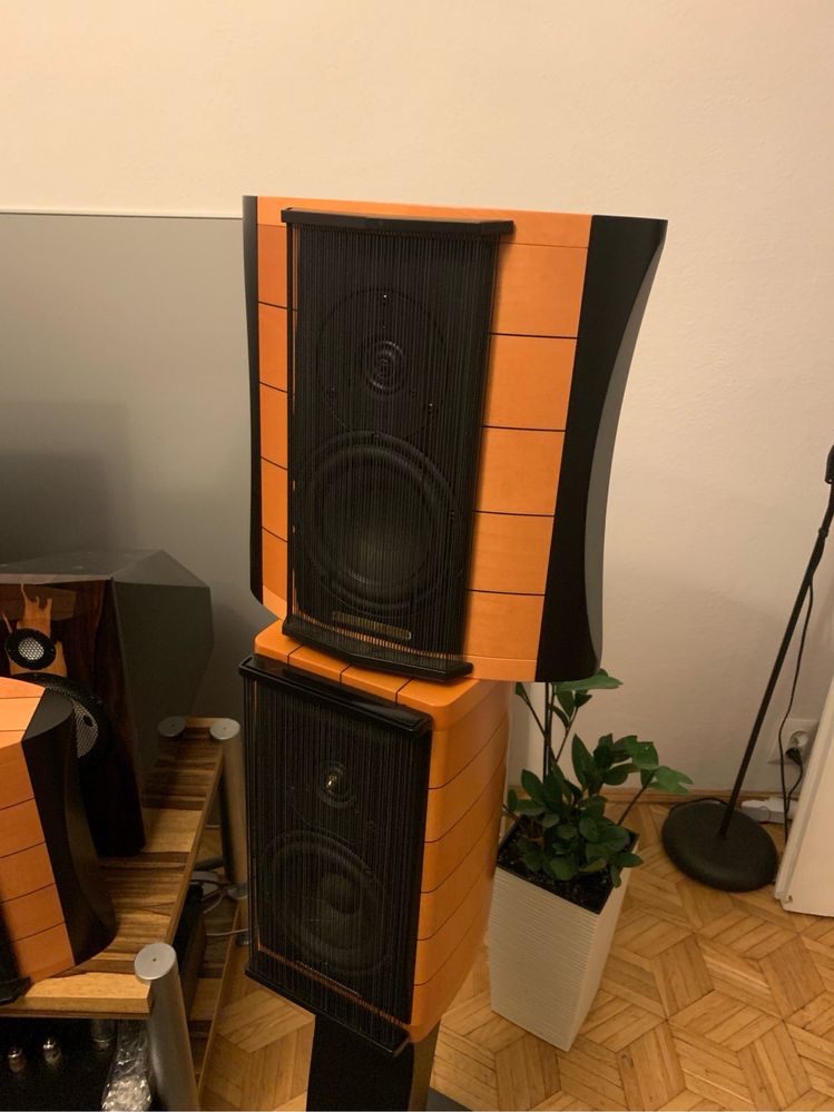 Sonus Faber Auditor Elipsa Biały kruk
