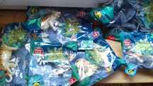 Nowa Figurka TYGRYS Zwierzęta Lidl