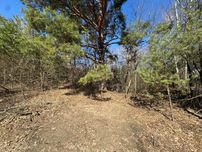 Земельный участок от 10 сот в лесу село Горбовичи.2200у.е.  Хозяин