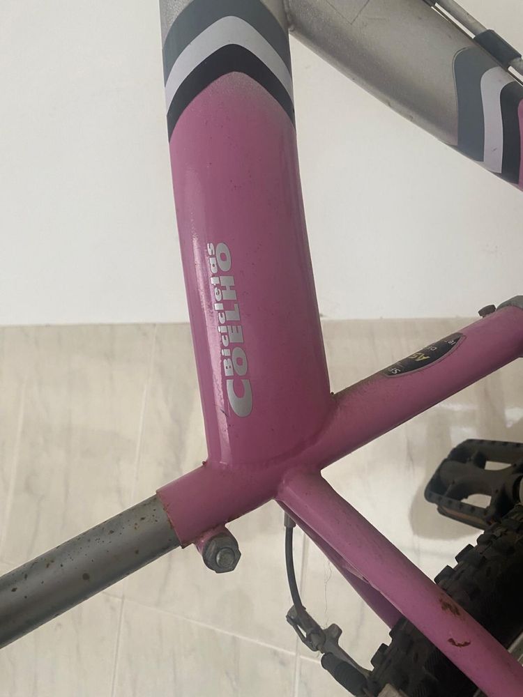 Bicicleta - Bicicletas Coelho