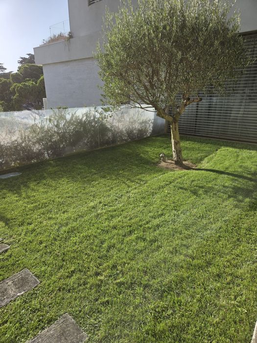 Manutenção de jardins