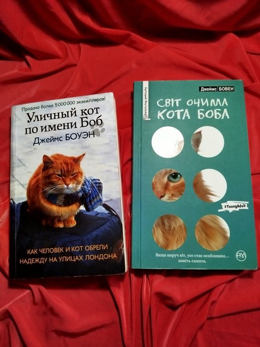 уличный кот по имени Боб книги