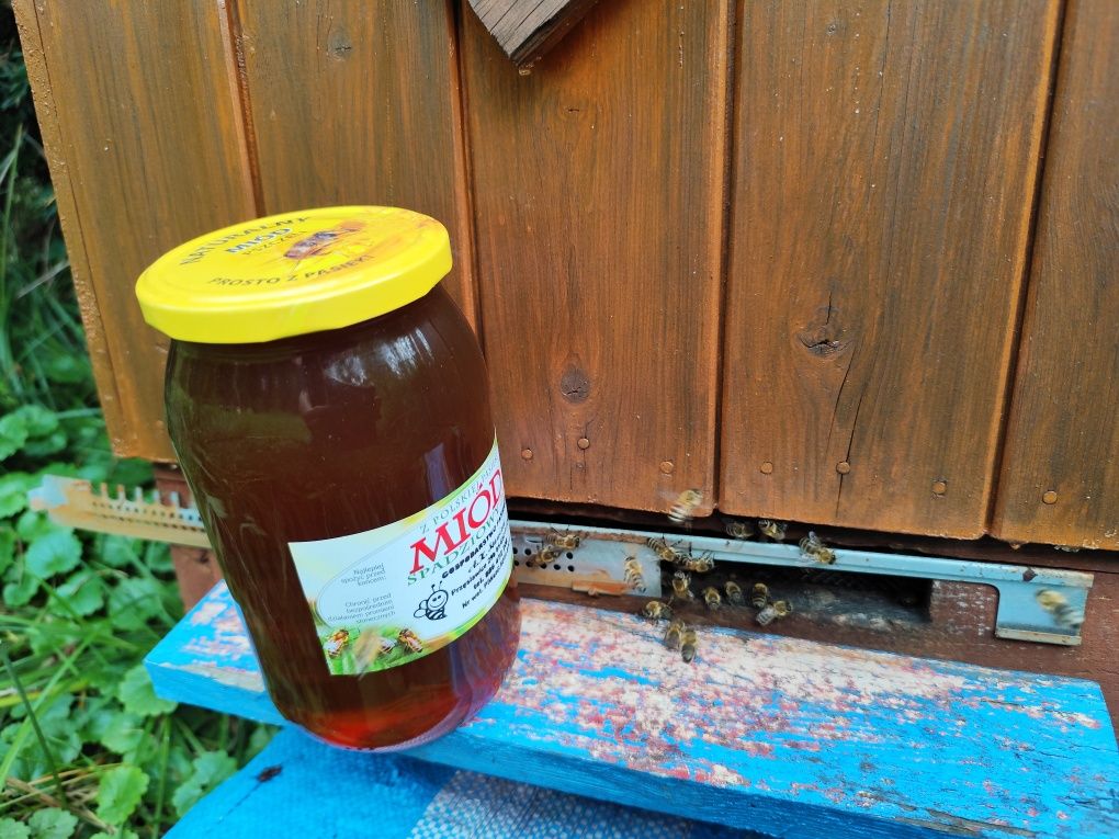 Miód pszczeli polski spadziowy
