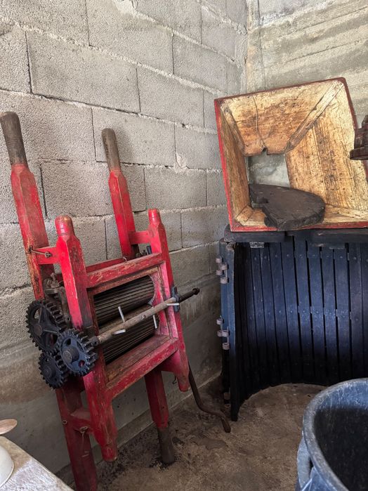 Esmagador de uvas mais prensa